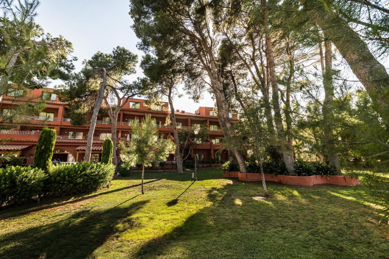 Intelier Bonaire Benicàssim